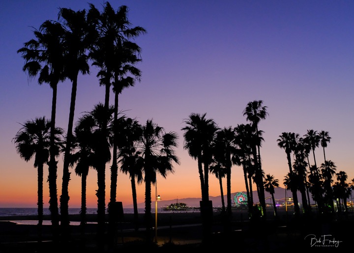 PIer &#38; Palms vivid twilight-1