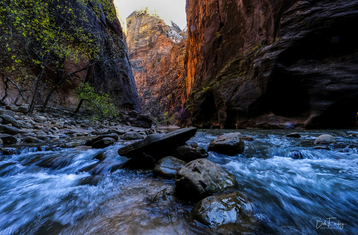 Zion Narrows River rush